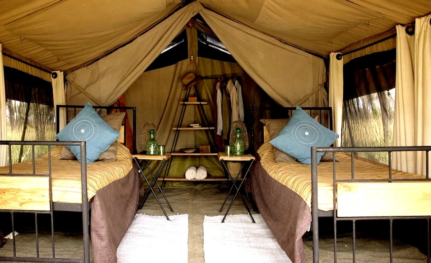 Lifetime Safaris