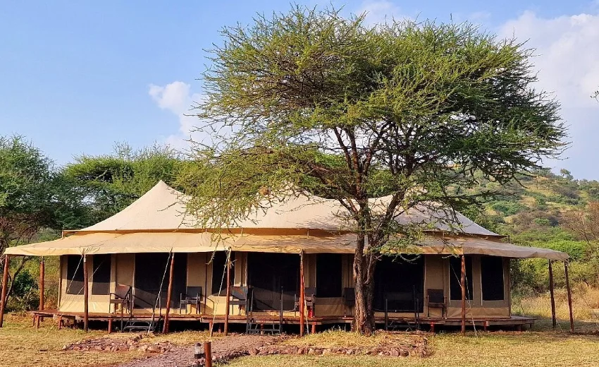 Sound of Silence Serengeti