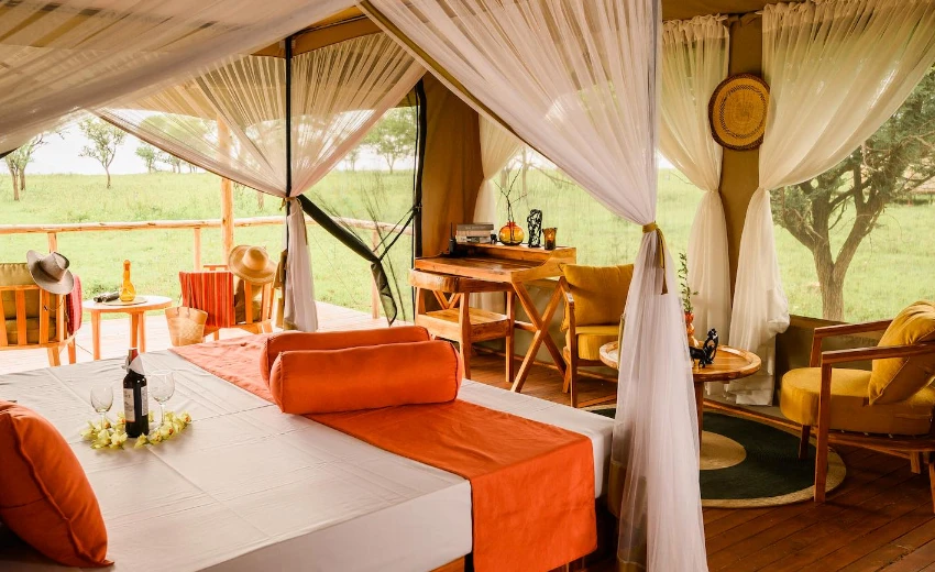 Lifetime Safaris