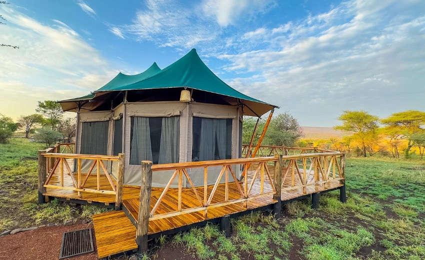 Lifetime Safaris