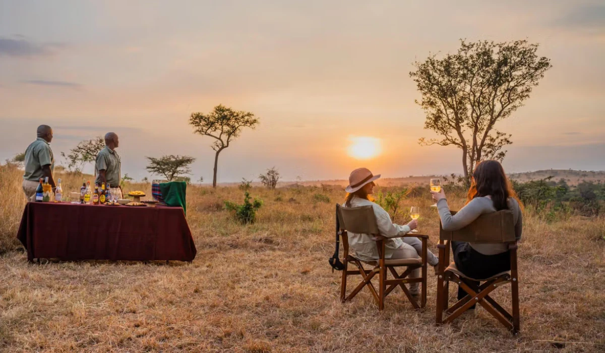 Safari Enjoy