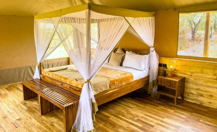 Lifetime Safaris