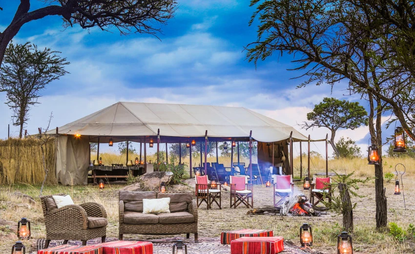 Lifetime Safaris