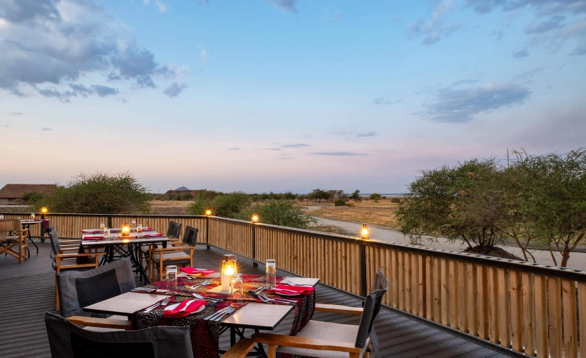 Lifetime Safaris