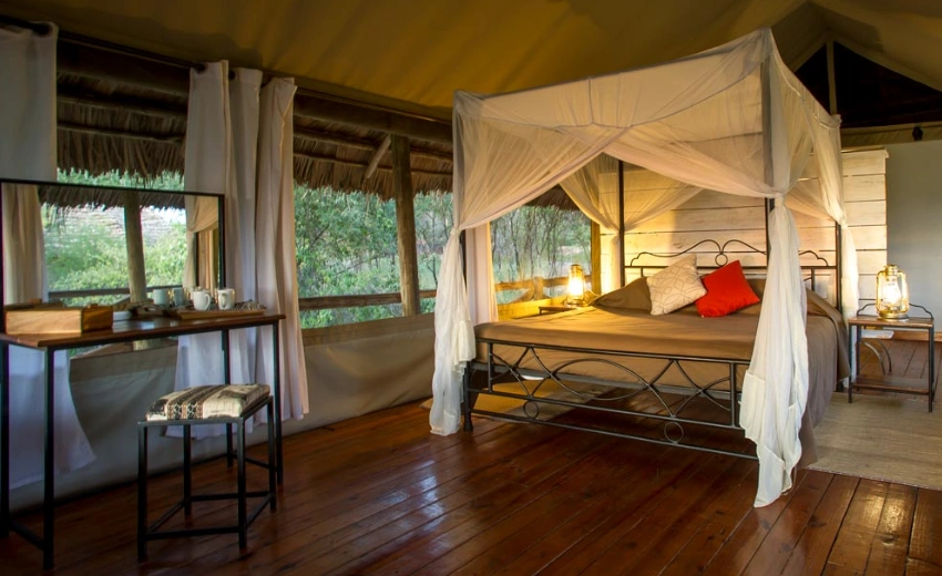 Lifetime Safaris