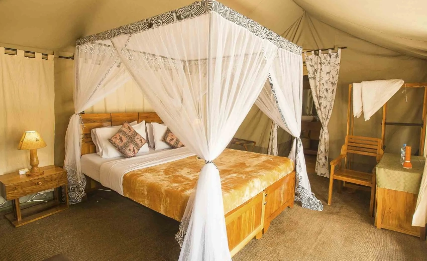 Lifetime Safaris