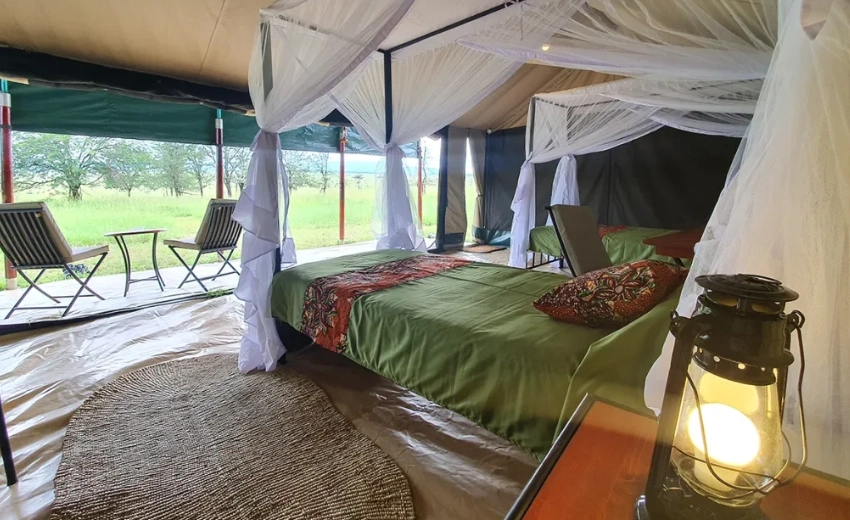 Lifetime Safaris