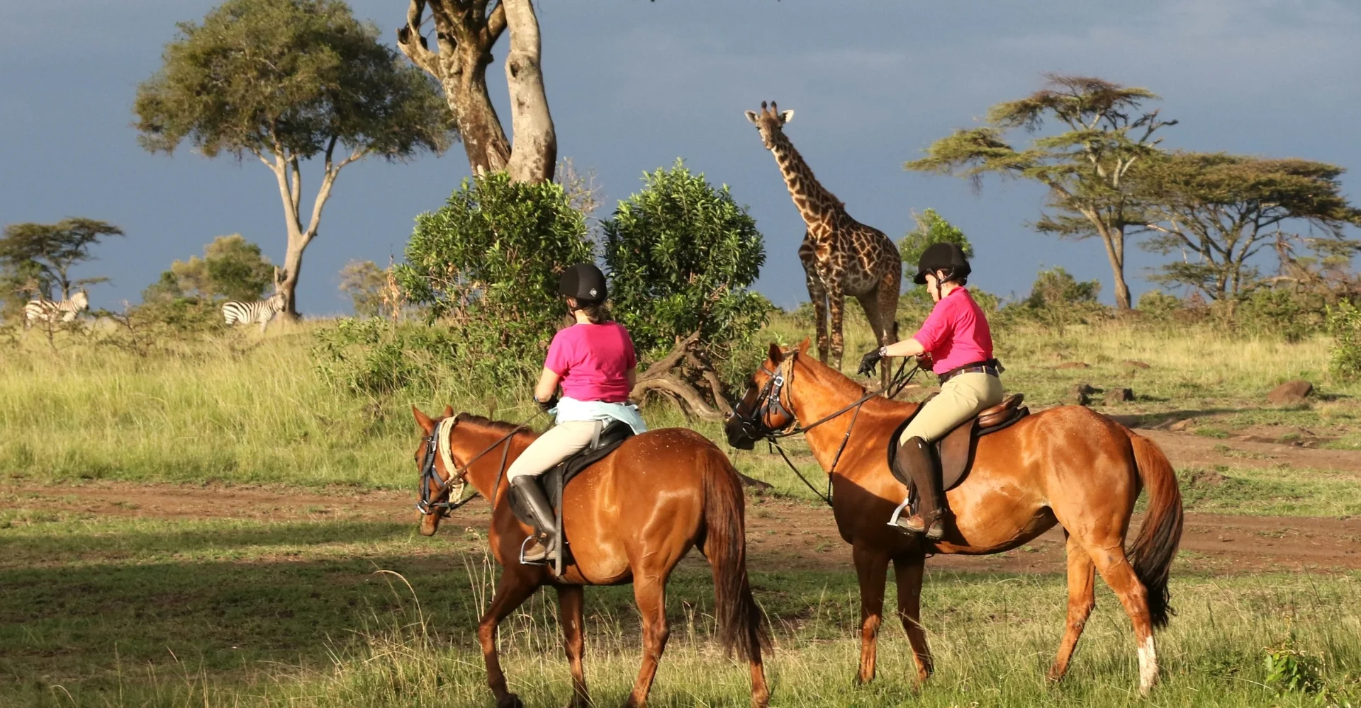 Lifetime Safaris