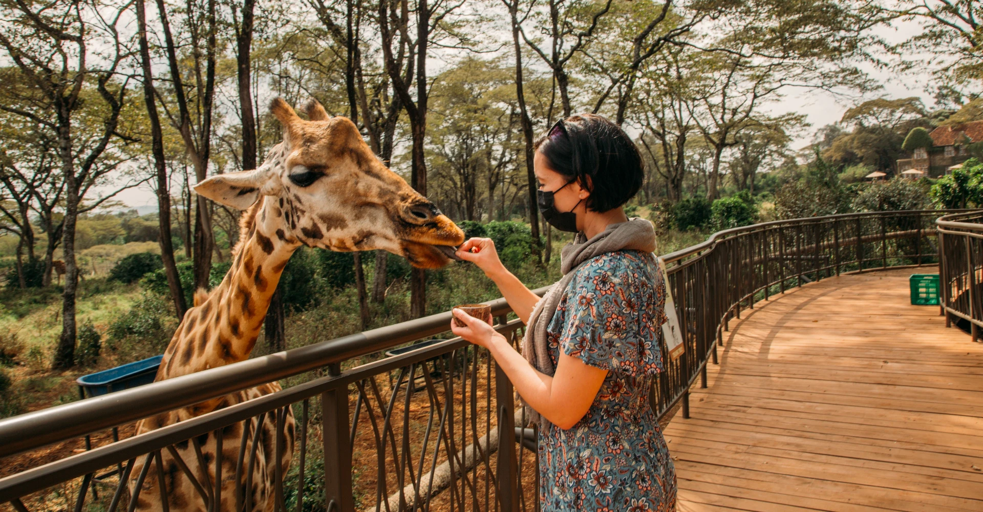 Lifetime Safaris