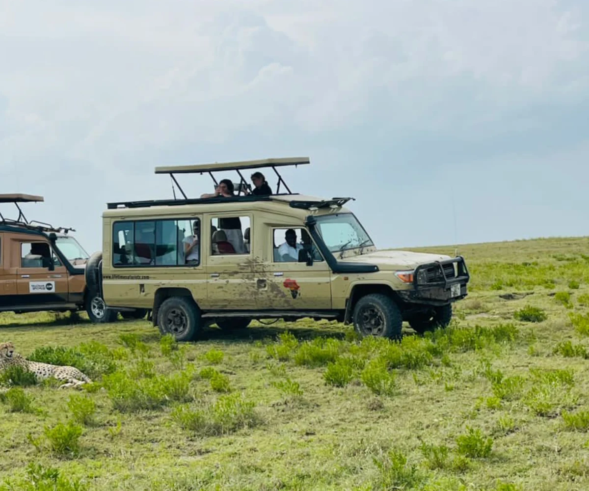 Tanzania Game Drives