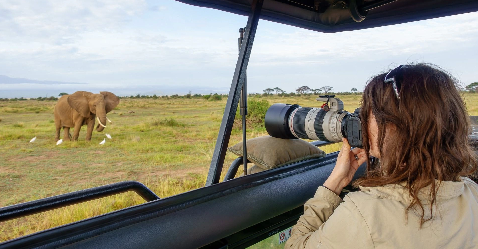 Lifetime Safaris