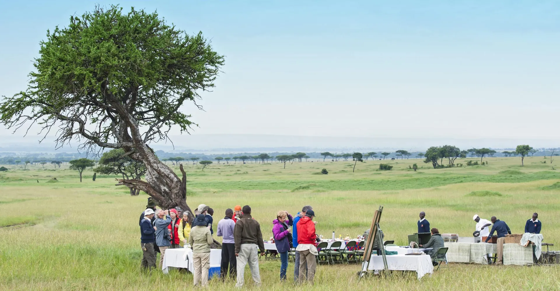 Wildlife