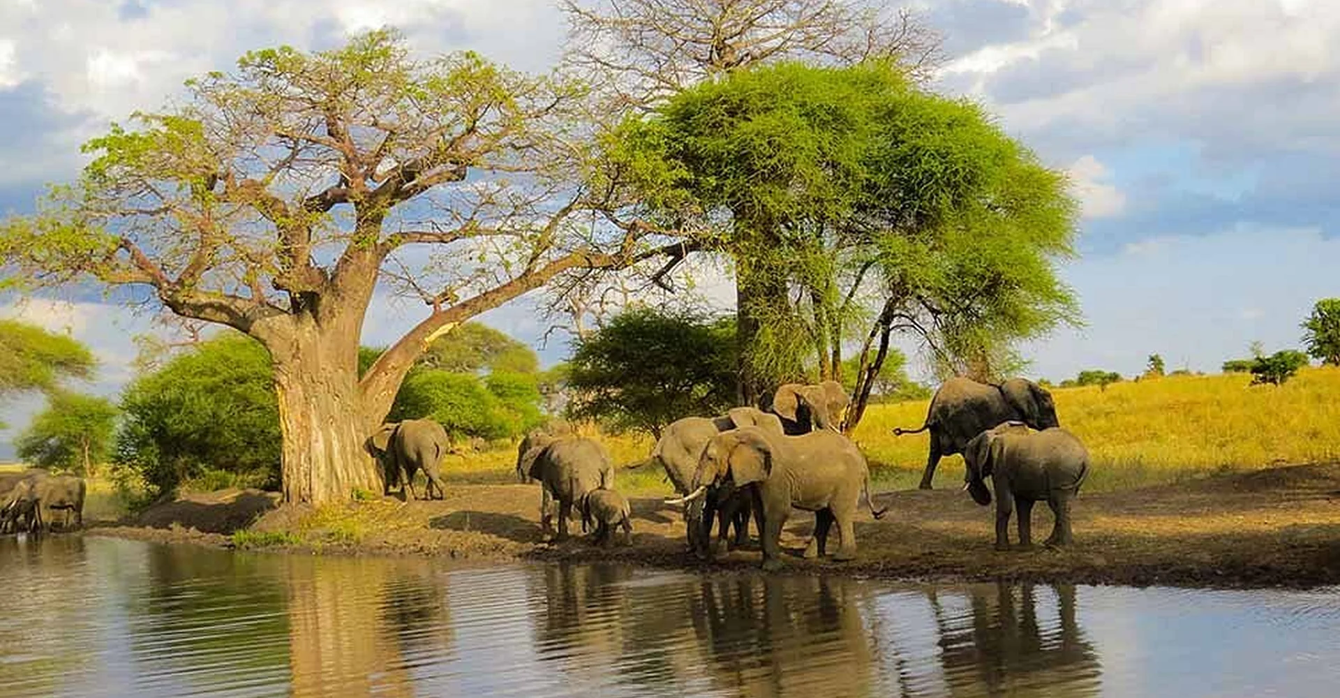Tanzania Budget Safari: An Ultimate Guide To Travel Frugality And See The Tanzania On The Ultra-Cheap