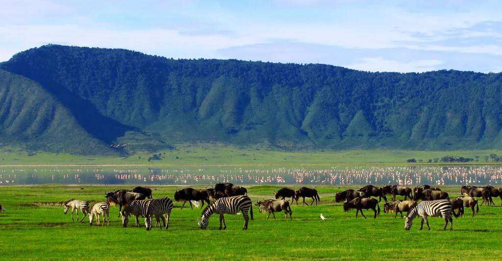 Winter In Tanzania: See What Makes It Worth A Trip For Tanzania Tours And Safaris