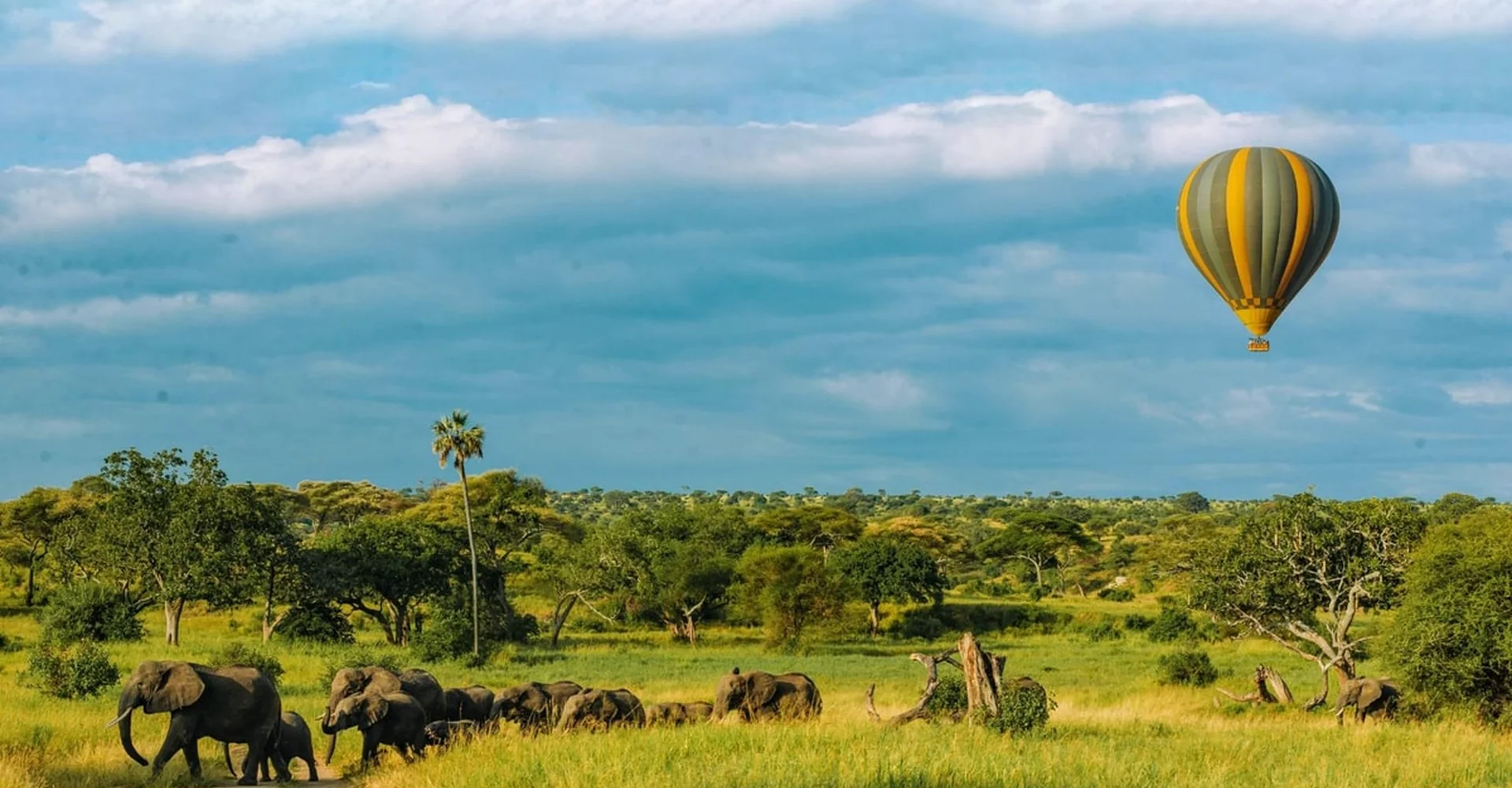5 Things To Know Before Plan Your Tanzania Safari Tours In 2020