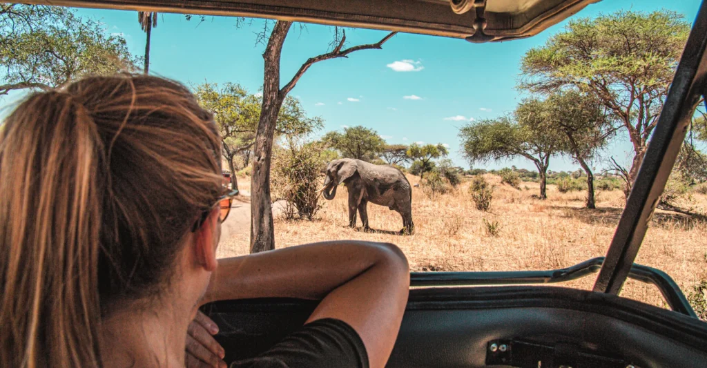 Why Go On A Safari Trip To Tanzania? 12 Awe-Inspiring Reasons For An Enthralling Tanzania Safari Tour