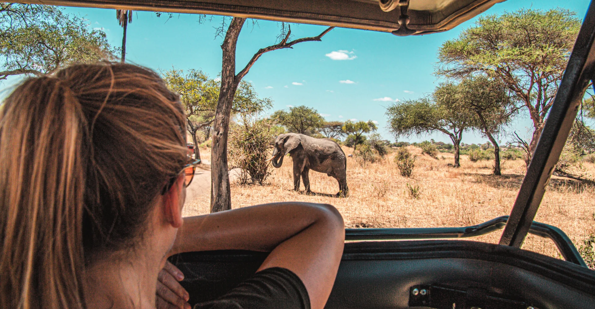 Why Go On A Safari Trip To Tanzania? 12 Awe-Inspiring Reasons For An Enthralling Tanzania Safari Tour
