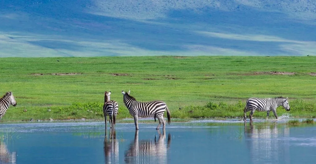 Explore The 8 Best Secrets Of Tanzania That Make It A Par Excellence Safari Destination