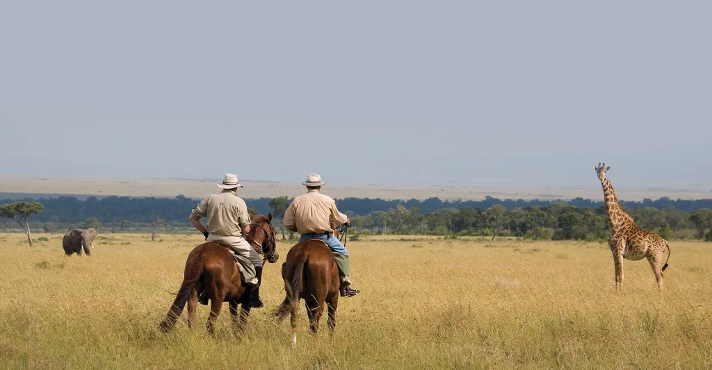 Want To Have A Dynamic And Wilder Experience? Don’t Be Hesitating To Pick Tanzania Horse Riding Safari