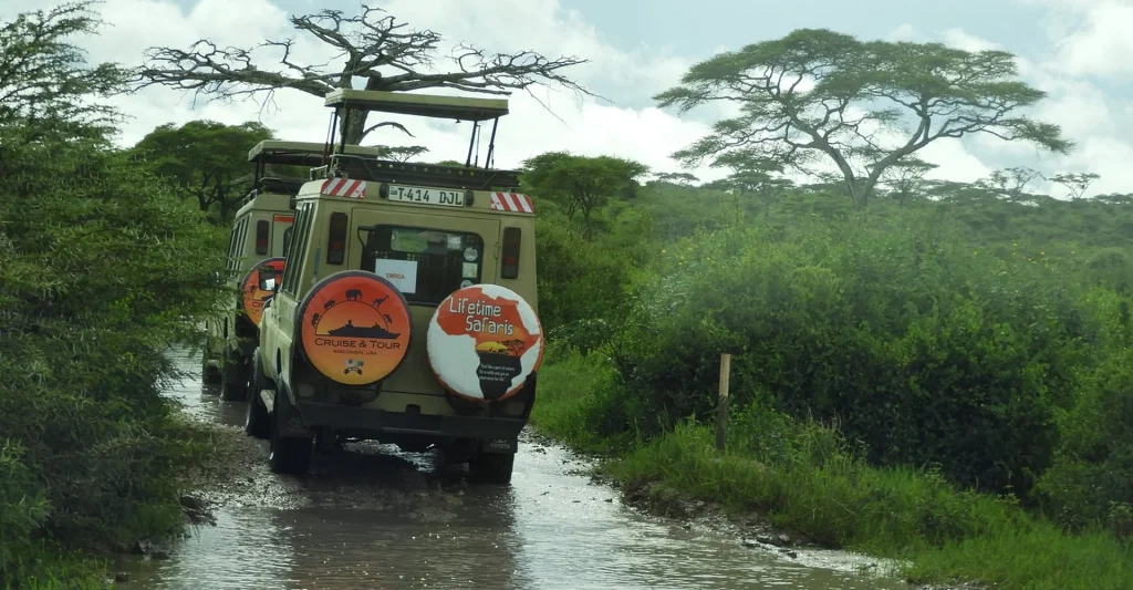 TANZANIA SAFARI TOURS – SPECIALIZED SAFARI WITH UNIQUE ACCESS & SUPERIOR SERVICE BY LOCAL EXPERTS