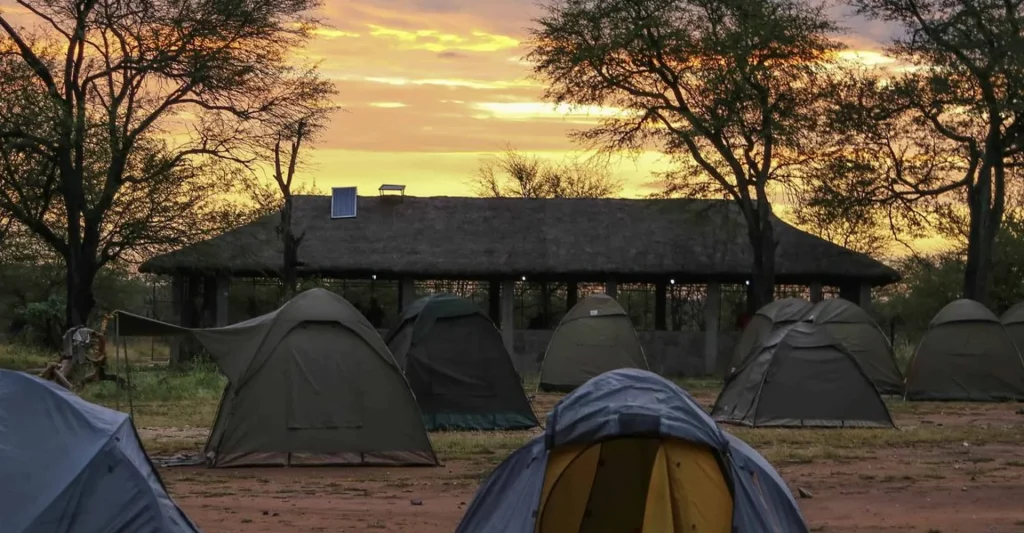 TANZANIA BUDGET SAFARI – WHAT ARE THE AFFORDABLE COST FACTORS EXPECT ON TANZANIA SAFARI TOURS?