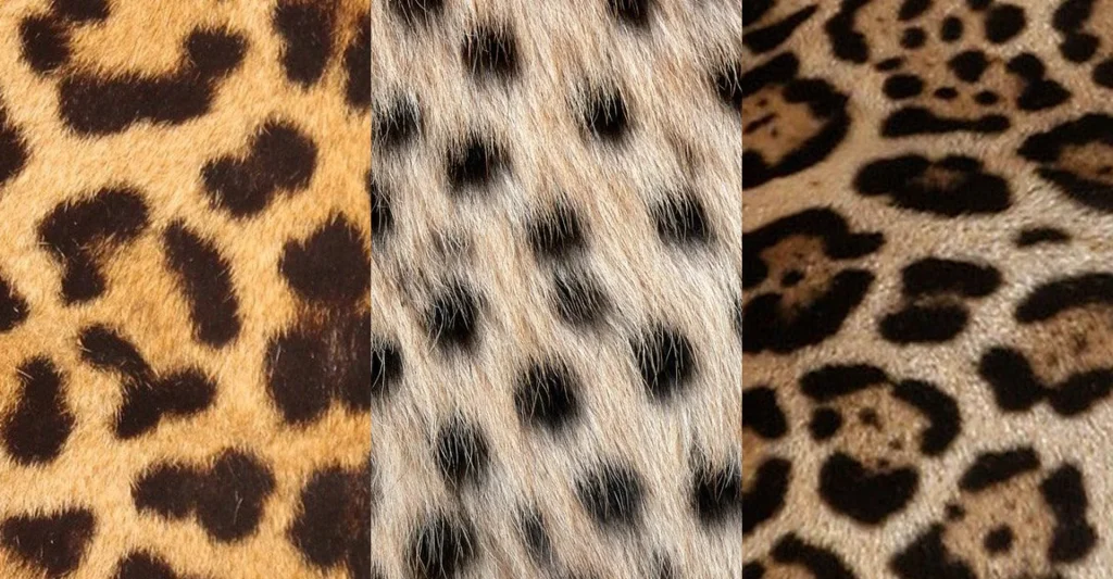 Cheetah Vs Leopard – Know About The Dangerous Animal During Your Tanzania Safari Tours!