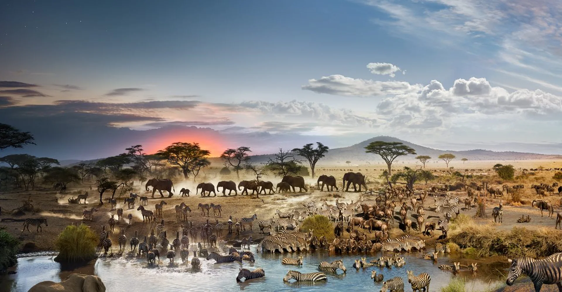 Plan For Tanzania Safari Tours & The Stuffs You Must Remember While Booking
