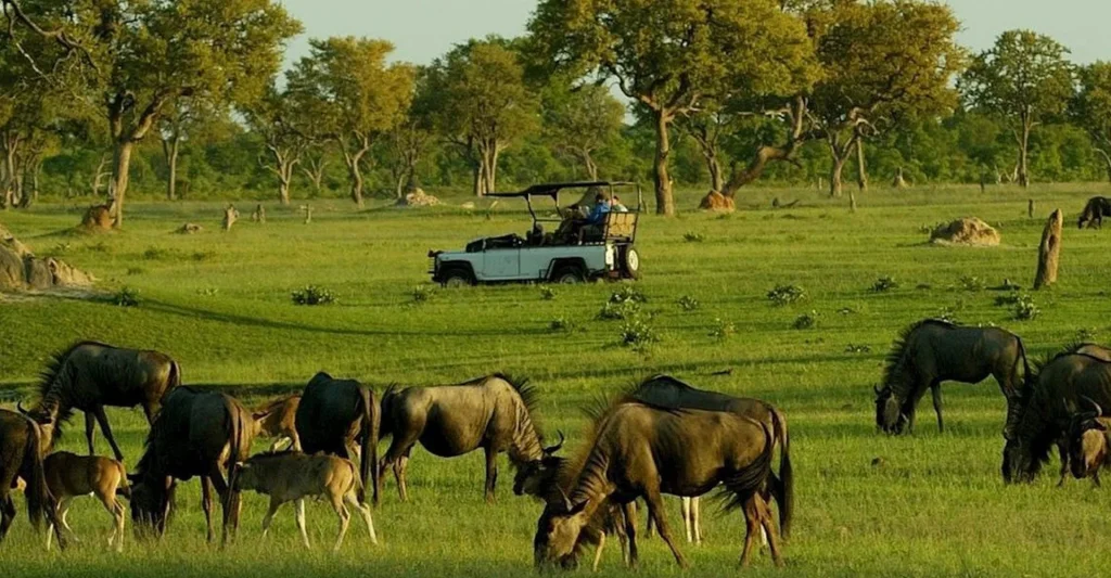 Indulge In To 7 Remarkable Tanzania Safari Experience For Mothers
