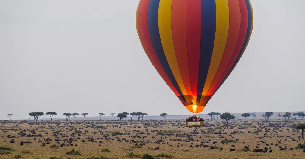 Serengeti Hot Air Balloon Safari In 2021 -2022 – Expectation Vs. Reality