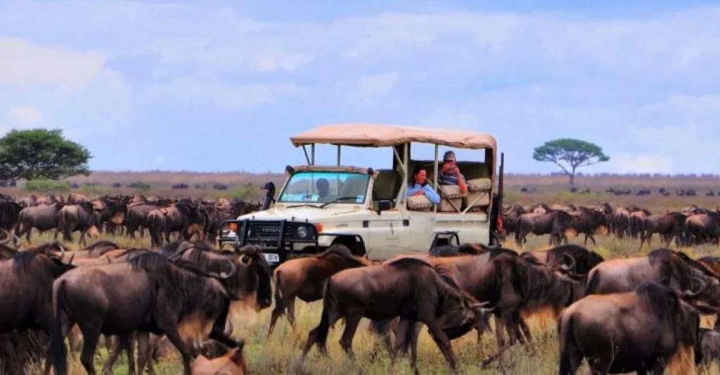 Serengeti National Park – The Emerald Of Tanzania