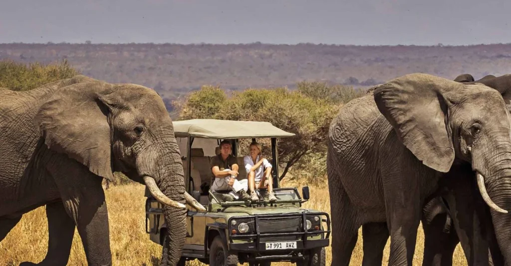 Tanzania Family Safari – How You Create Your Safari With Family From Ages 5 To 77?