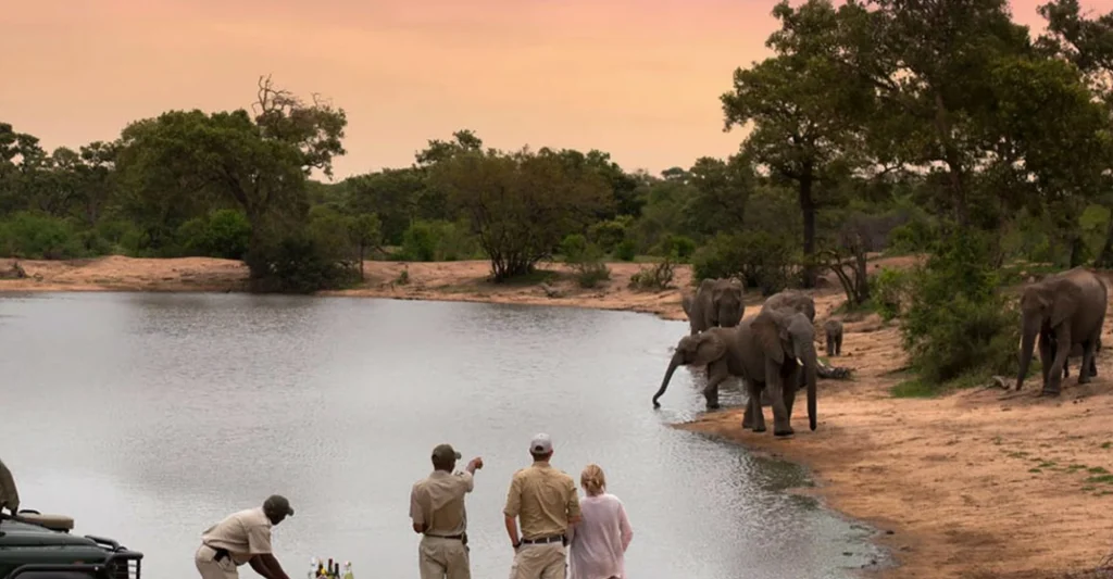 What It’s Like To Go On A Tanzania Safari In 2021 – 22?