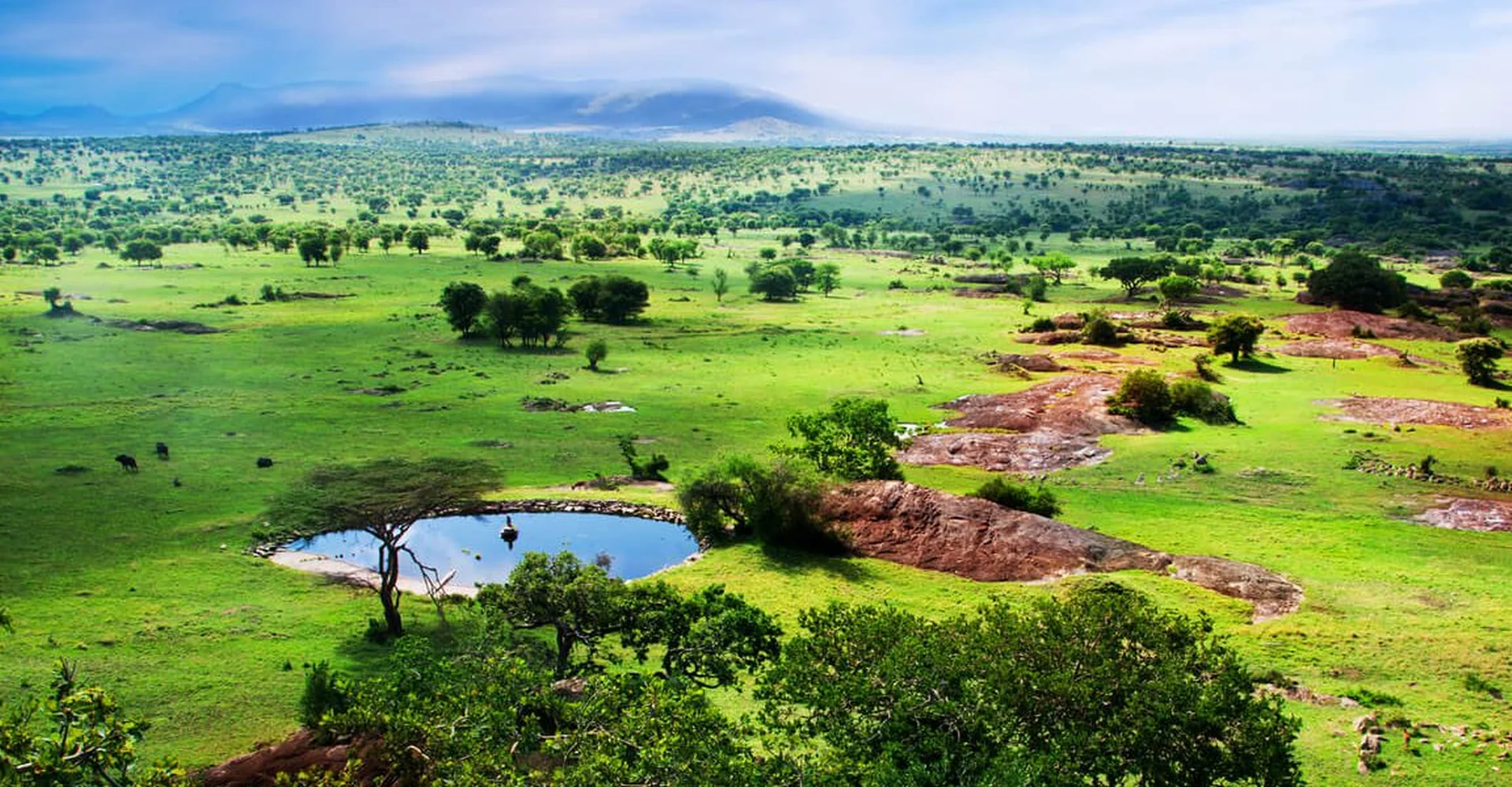 What’s The Weather In Tanzania Like? Our Comprehensive Guide