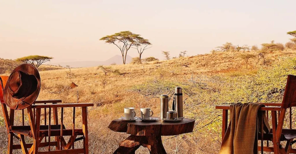 Enjoy Incredible Game Views And Accommodations At Safaris Tanzania