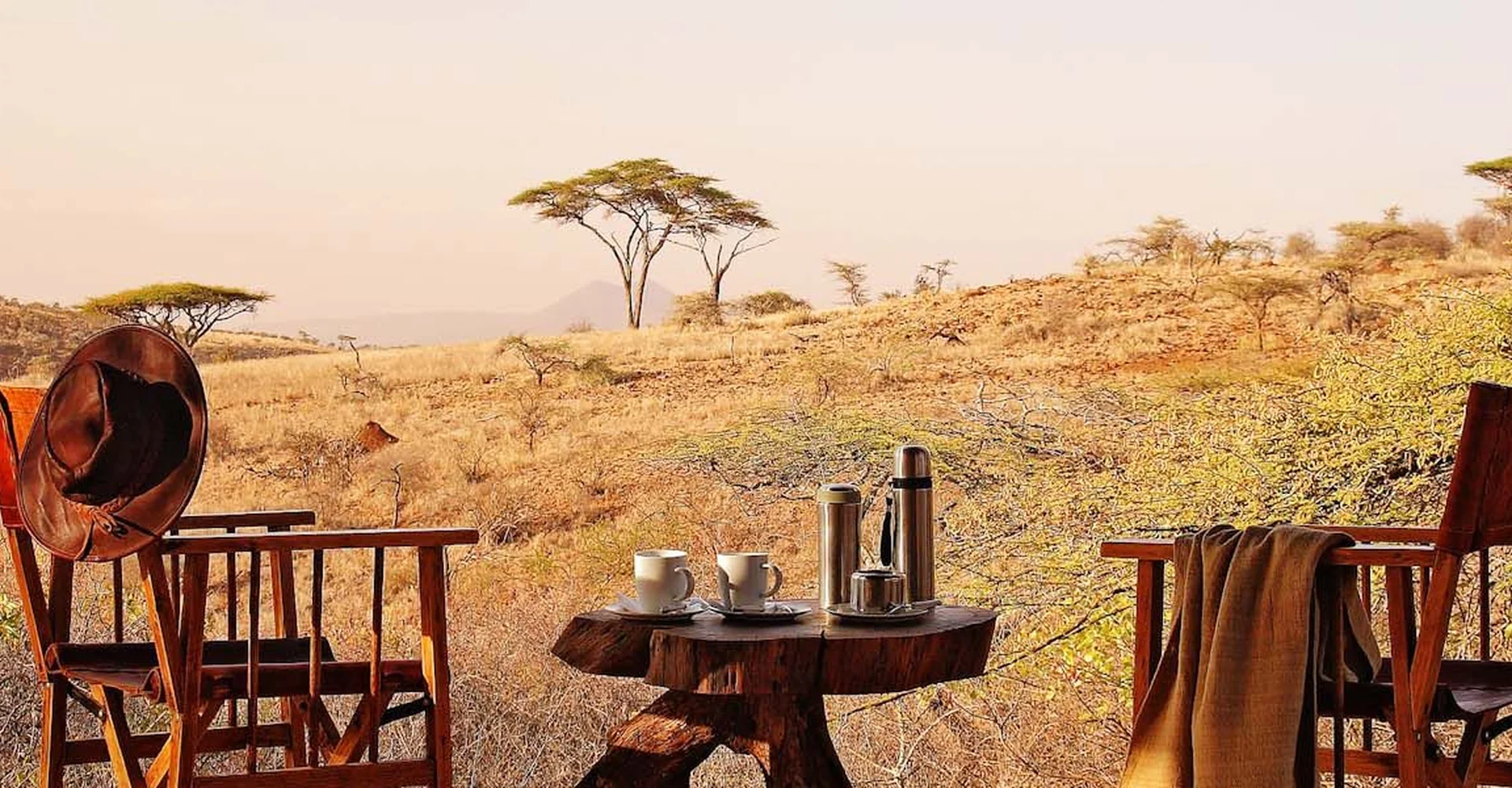 Enjoy Incredible Game Views And Accommodations At Safaris Tanzania