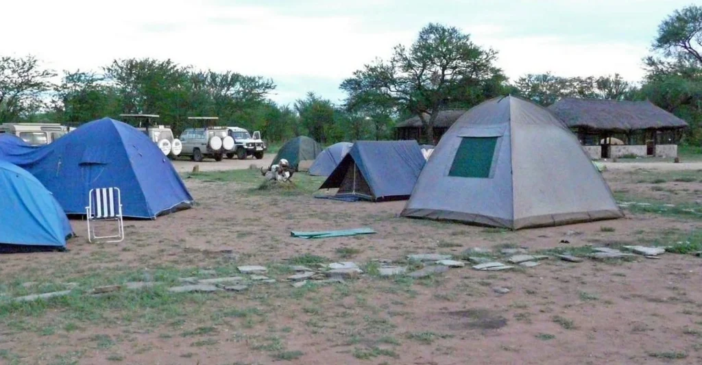 Serengeti Budget Camping Safaris: Is A Serengeti Safari Actually Worth The Money?