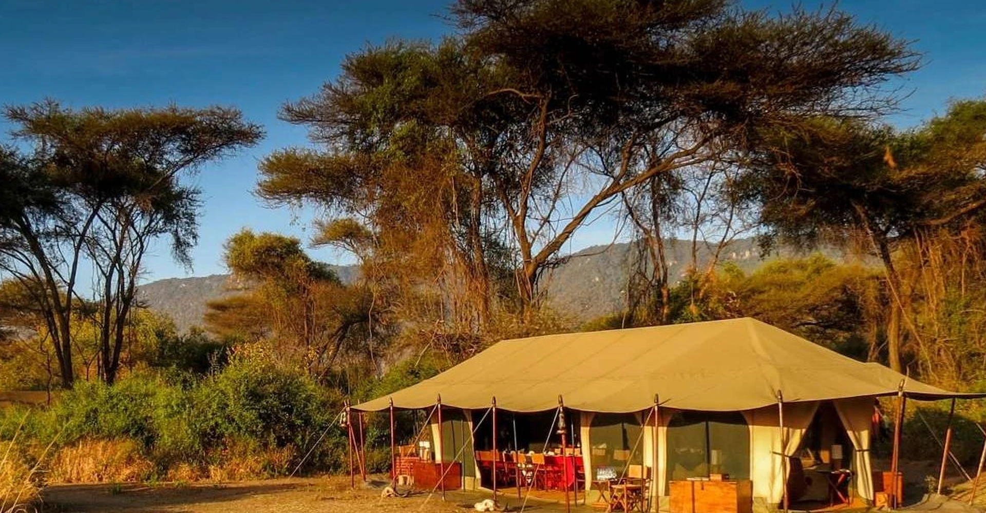 Spaces To Stay To Witness The Great Wildebeest Migration