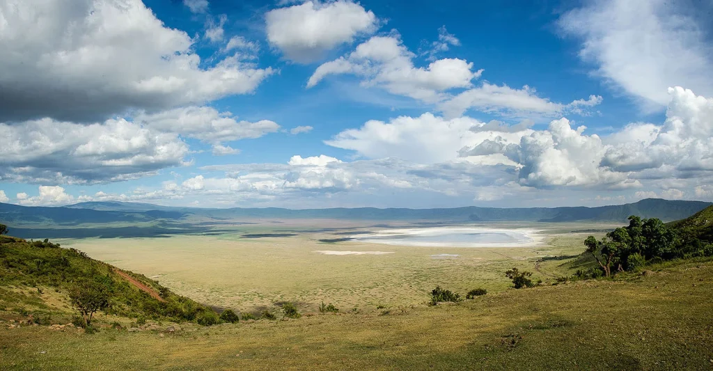 What You Need To Know About A Ngorongoro Safari In Tanzania