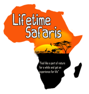 https://lifetimesafaristz.com/blog/wp-content/uploads/2026/10/lifetimesafaris.png