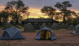 4 Days Tanzania Budget Camping Safari