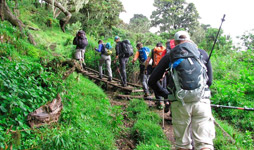6 Days Tanzania Luxury Safari With Empakai Hiking