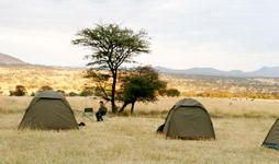 7 Days Tanzania Budget Camping Safari