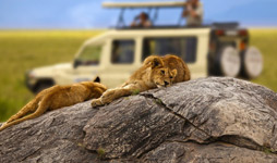 8 Days Tanzania Adventure Midrange Safari