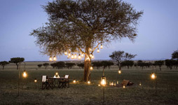 8 Days Tanzania Luxury Bush Safari