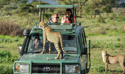 9 Days Tanzania Adventure Luxury Safari