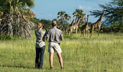 8 Days Tanzania Walking Safari