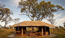 10 Days Tanzania Adventure Camping Safaris