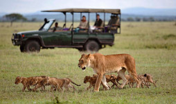13 Days Tanzania And Kenya Adventure