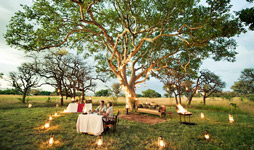4 Days Tanzania Luxury Bush Safari