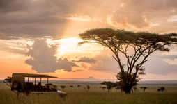 3 Days Tanzania Luxury Safari To Serengeti